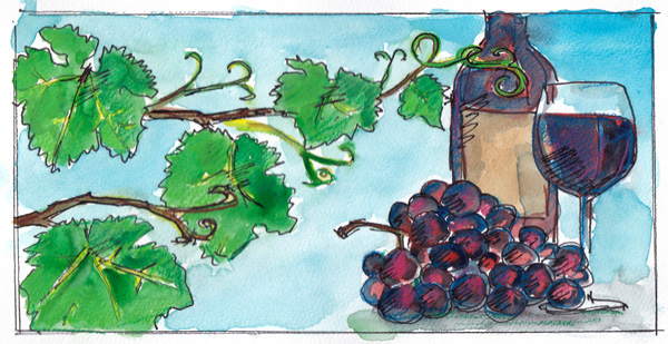 skizze rebewein